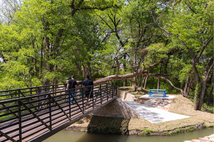 FALLTEN TREE TRAIL