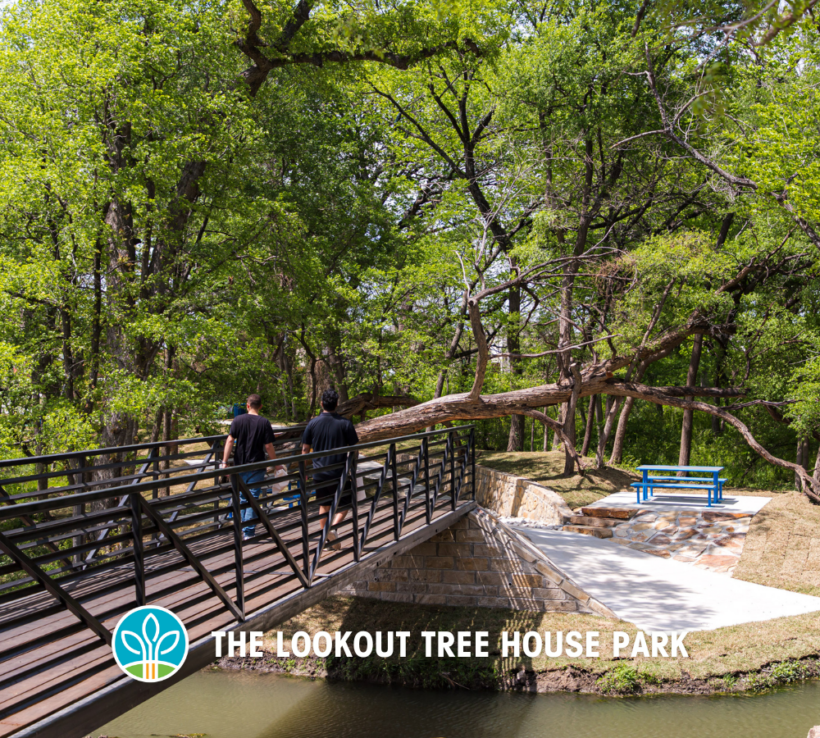 THE LOOKOUT TREE HOUSE PARK