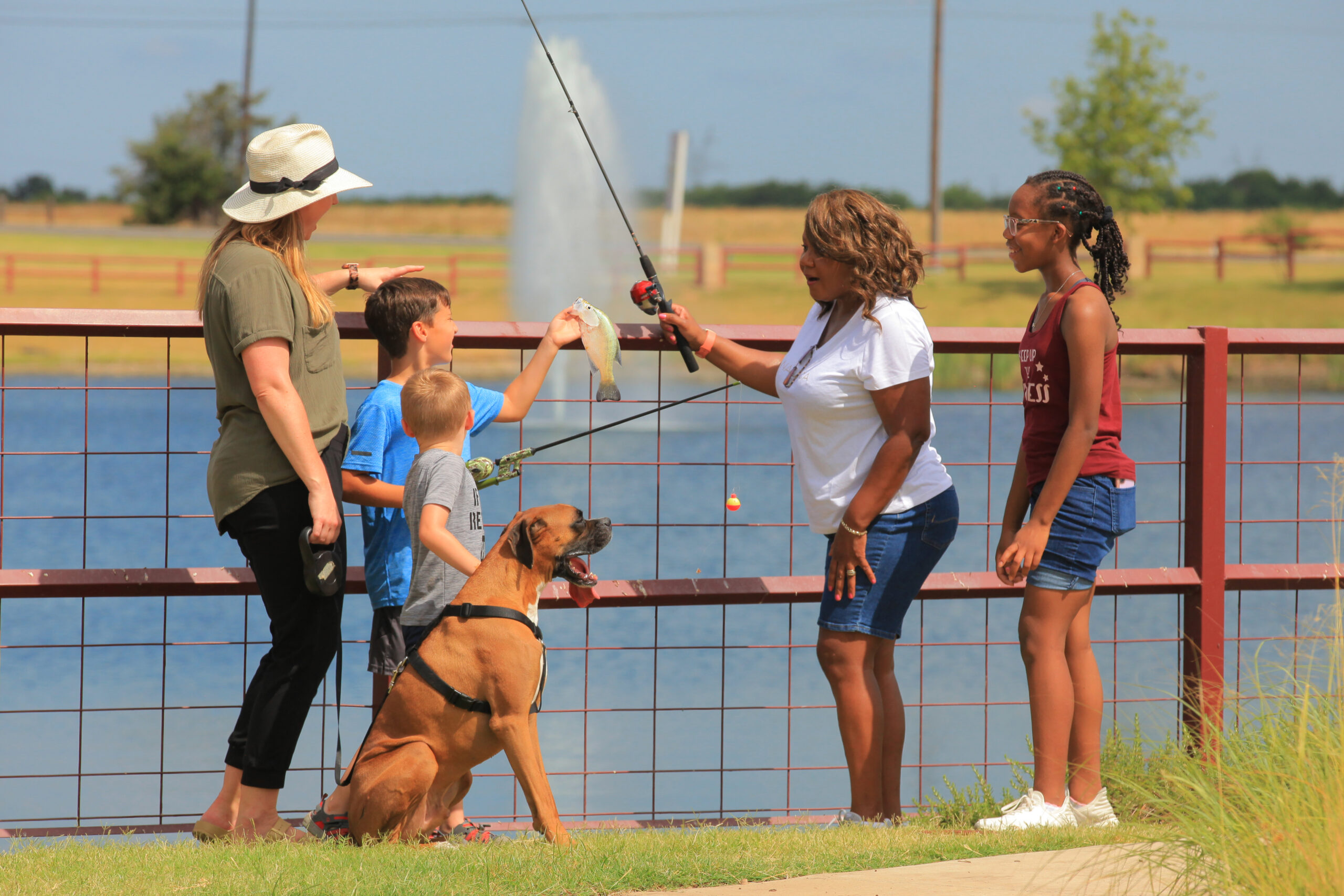 National Dog Day 2024 in DFW: Top Dog-Friendly Activities