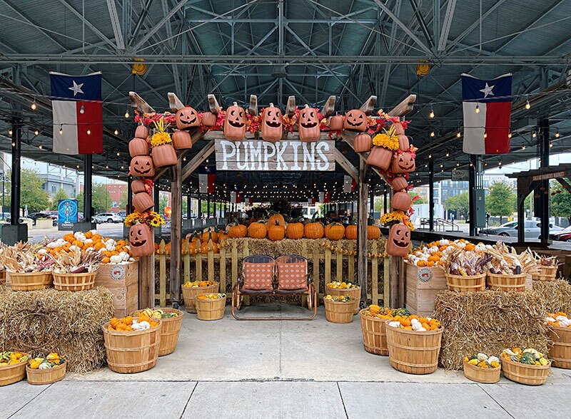 Texas Pumpkin Patch at the Dallas Farmers Market