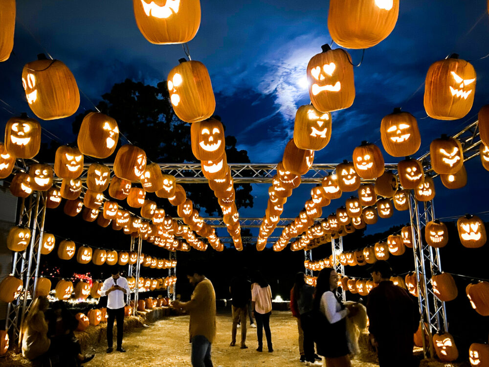 Top Halloween Events in Dallas 2024 Solterra Texas