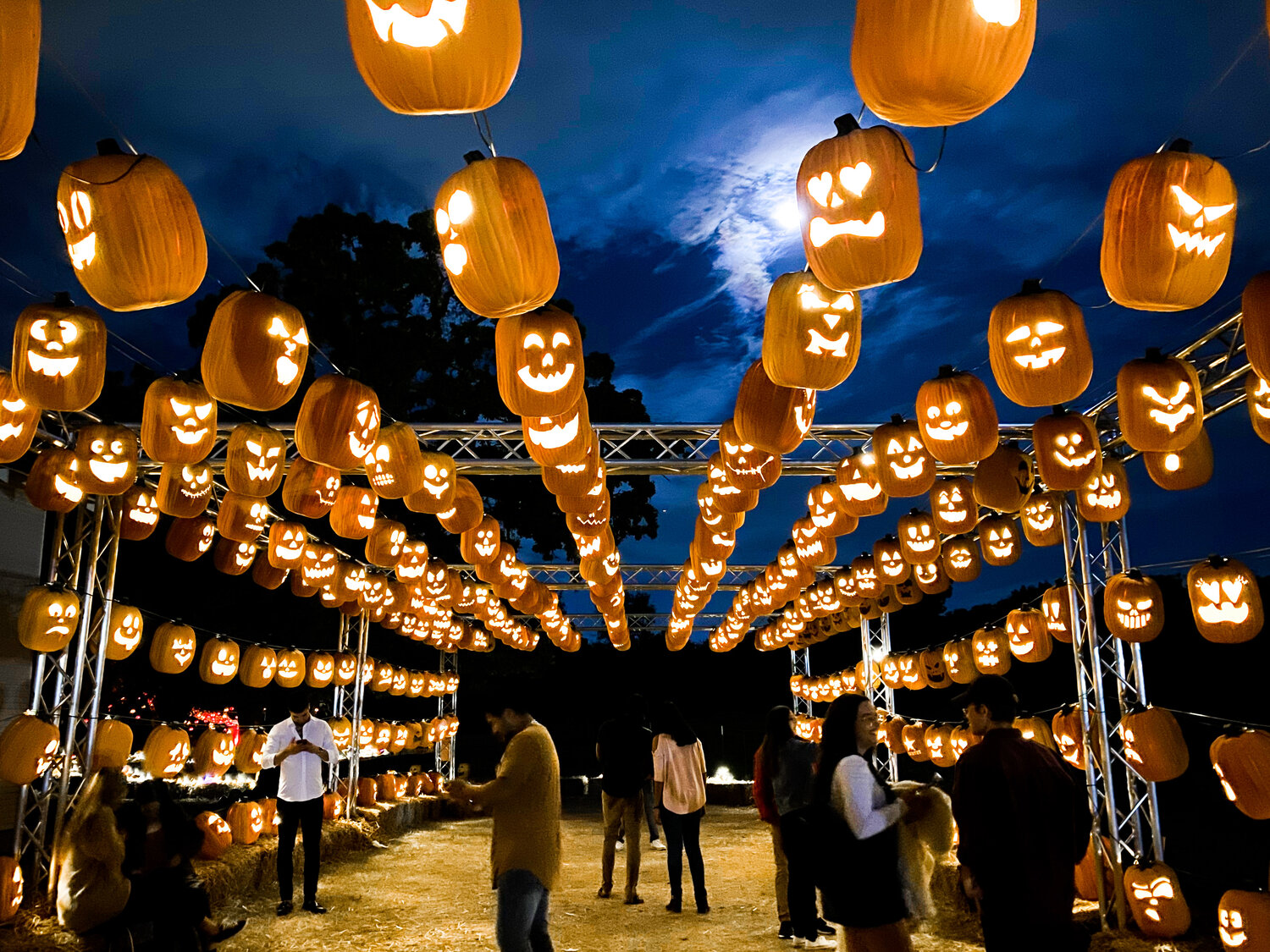 Pumpkin Nights at Howell Farm in Arlington