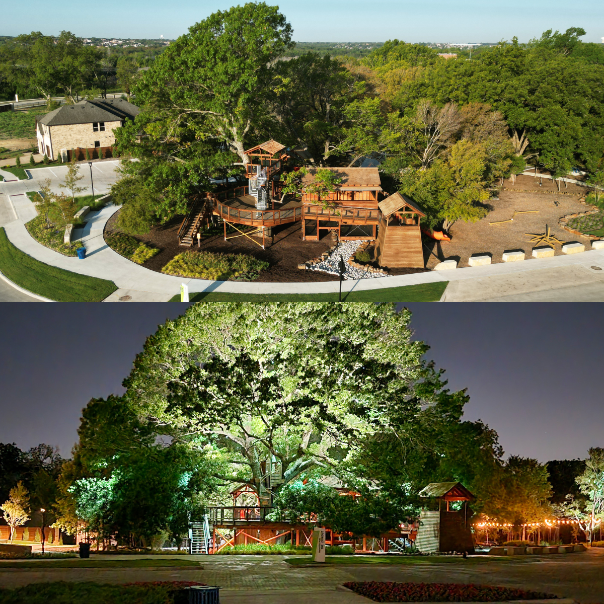Explore the Iconic Treehouse at Solterra Texas