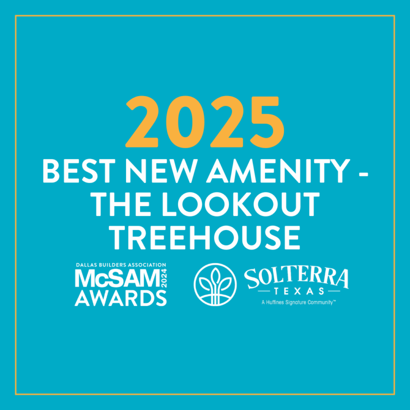 Best New Amenity - Treehouse