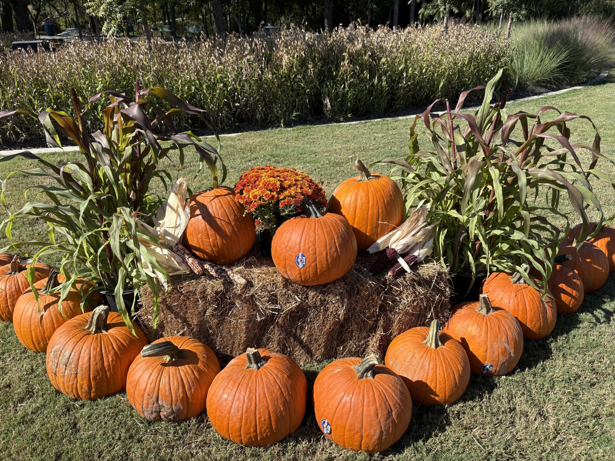 Holiday-Themed Events