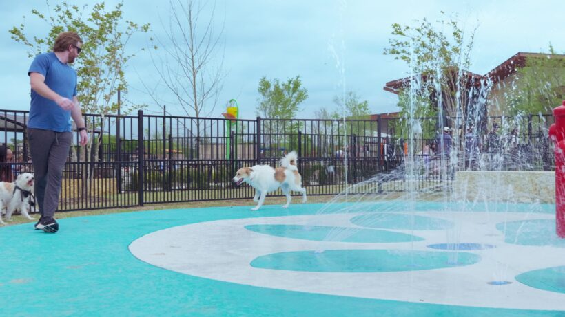 Dog Park and Splash Pad